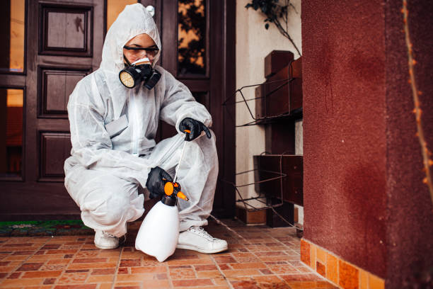 Reliable Ant Control contractor in Mansfield, MO by Show Me Pest Control